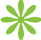 dise&ntilde;o